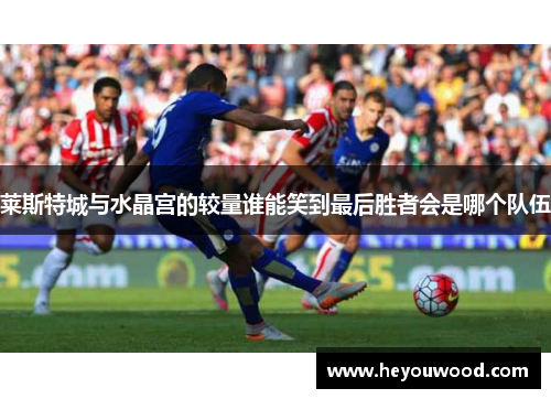莱斯特城与水晶宫的较量谁能笑到最后胜者会是哪个队伍