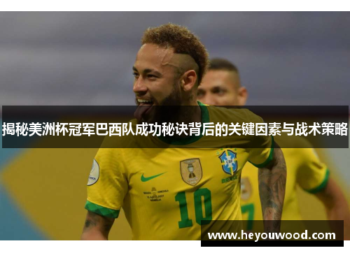 揭秘美洲杯冠军巴西队成功秘诀背后的关键因素与战术策略